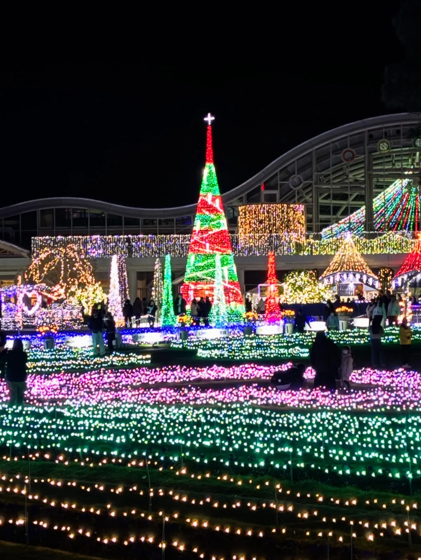 宮崎に冬の訪れを告げる風が吹き始め、寒さも本格的になってきま...