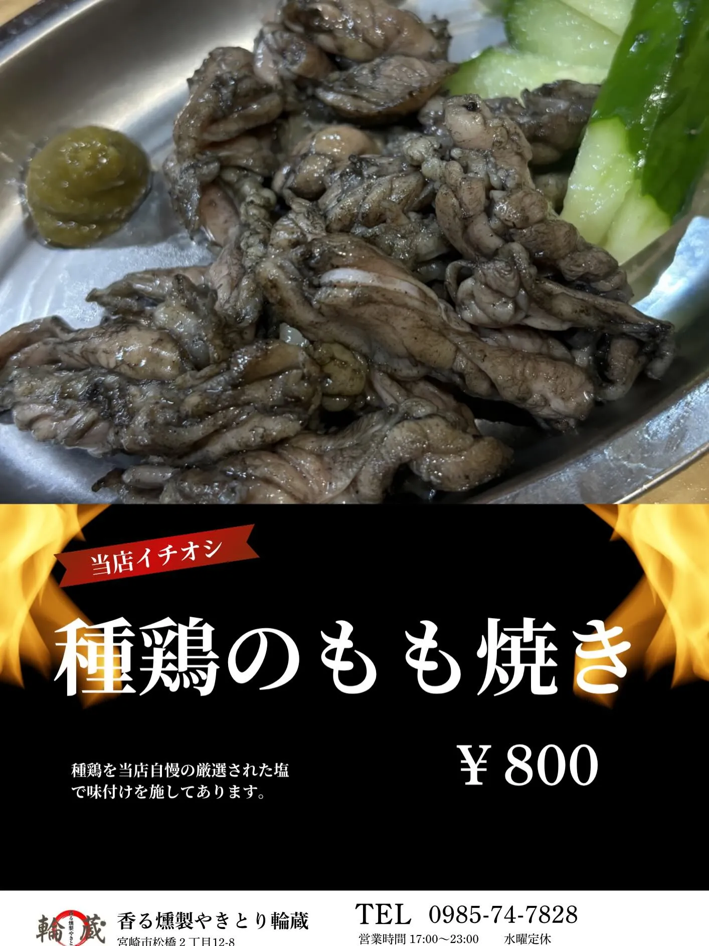 早いもので4月もあと僅かですね🌸